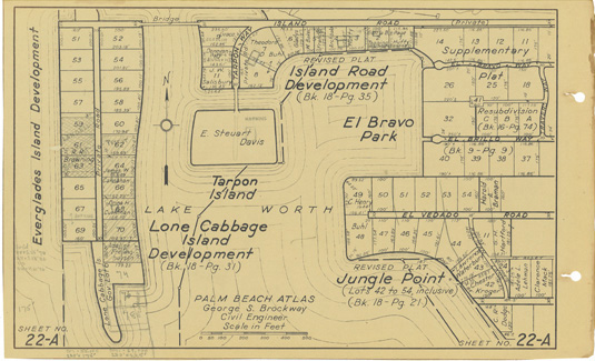 sheet 22-A small low res scan